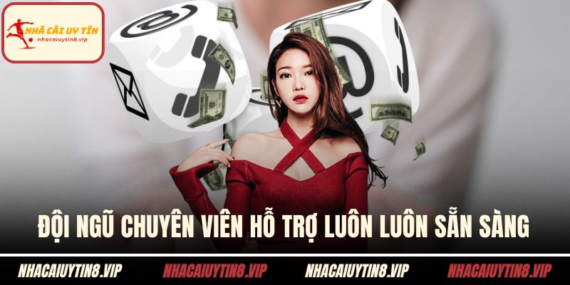 Đội ngũ chuyên viên hỗ trợ luôn luôn sẵn sàng
