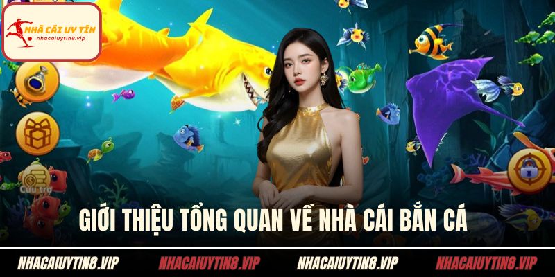 Giới thiệu tổng quan về nhà cái bắn cá 