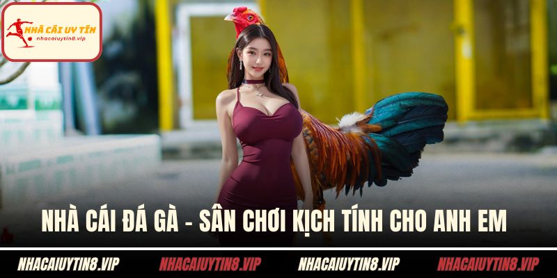 Nhà cái đá gà