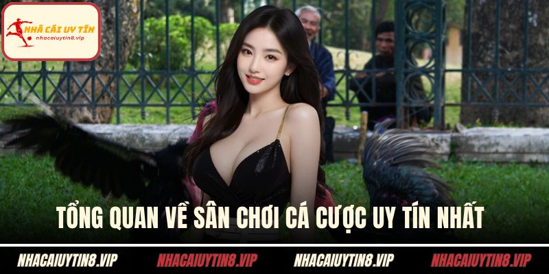 Tổng quan về sân chơi cá cược uy tín nhất 